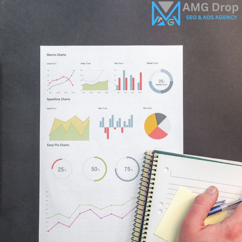Paid Ads Campaign Management Portfolio - AMG DROP